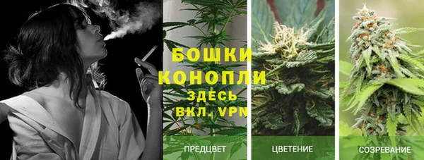 трава Алзамай
