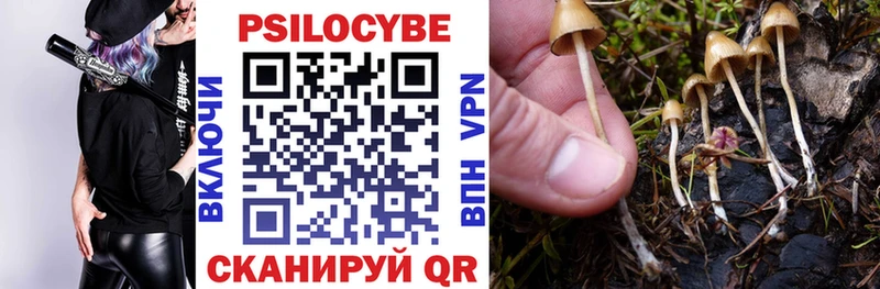 ссылка на мегу ссылки  купить  цена  Кириши  Галлюциногенные грибы прущие грибы 