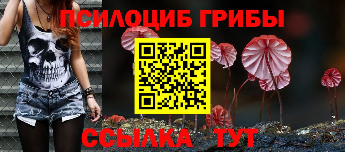 Галлюциногенные грибы GOLDEN TEACHER  Вход с VPN  Кириши  Псилоцибиновые грибы ЛСД 