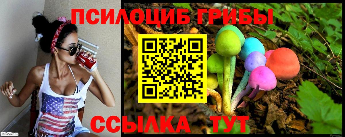 Галлюциногенные грибы мицелий Кириши